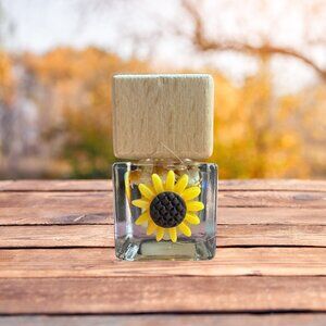 Car diffuser with decorative dry flowers in the scented oil